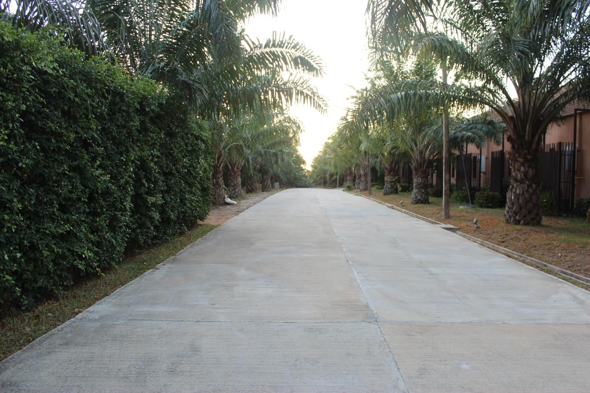 Palm Inn Khok Kloi Bagian luar foto
